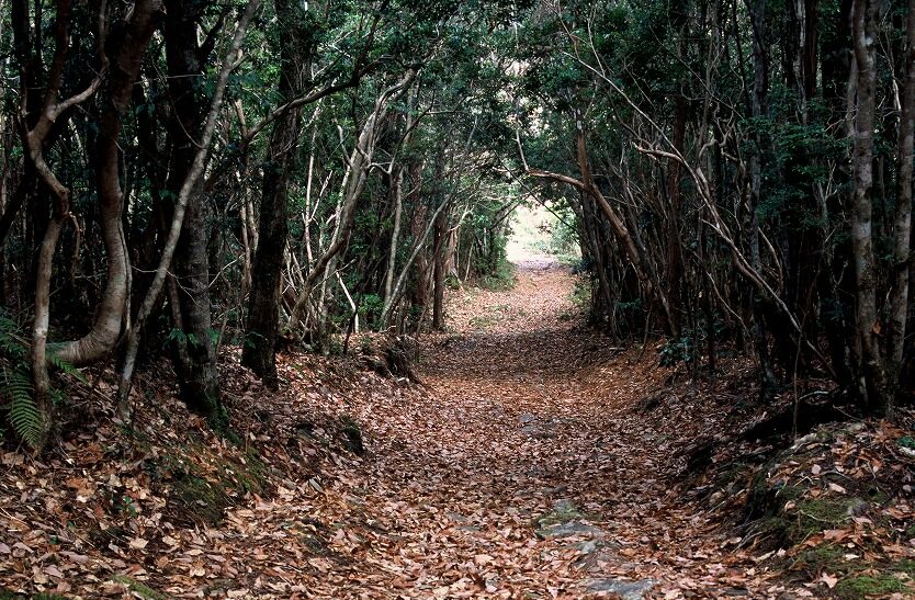 十津川村世界遺産小辺路